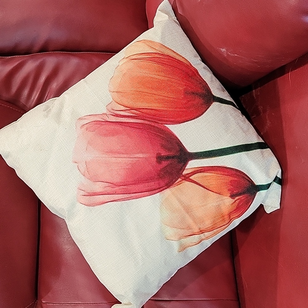 Throw pillow for indoor or outdoor use